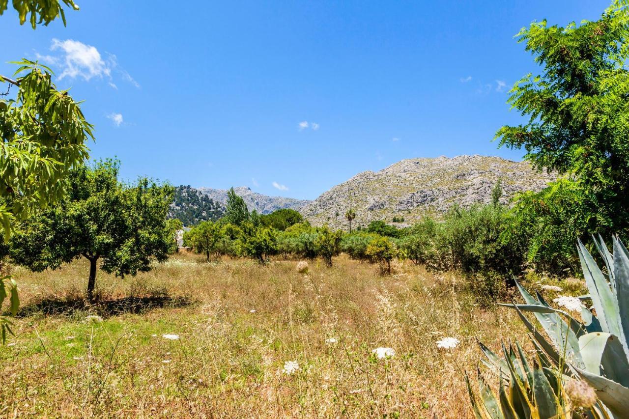 Cuxac De Na Joana * Pollença